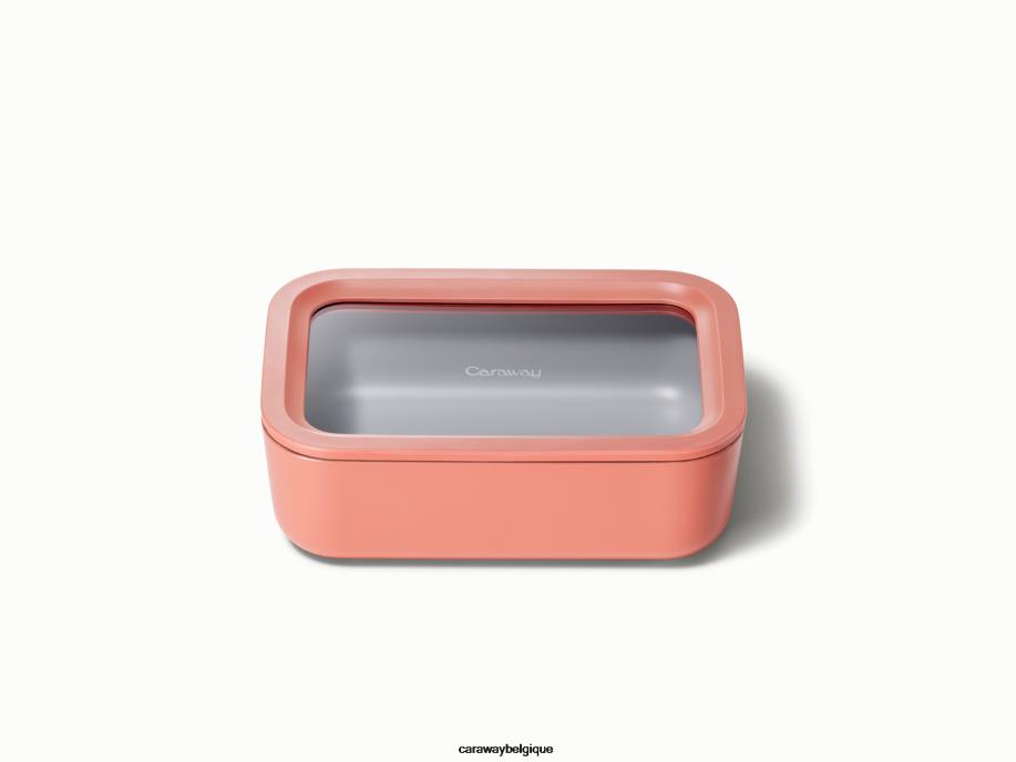 Caraway batterie de cuisine perracotta récipient de stockage de nourriture T6TFV222 - Image 1