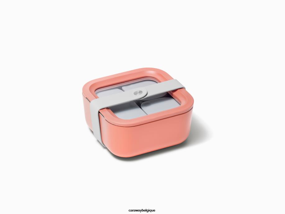 Caraway batterie de cuisine perracotta récipient de stockage de nourriture T6TFV228 - Image 2
