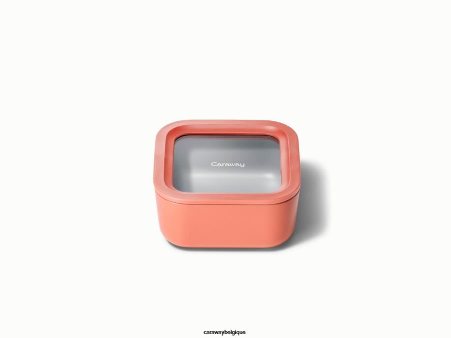 Caraway batterie de cuisine perracotta récipient de stockage de nourriture T6TFV228 - Image 1