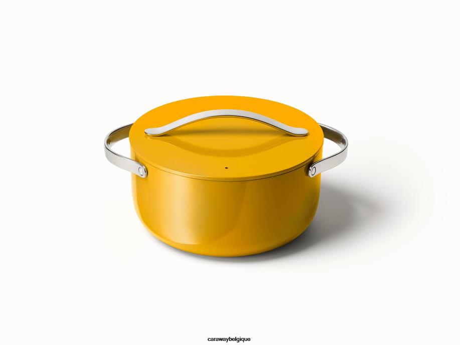 caraway_batterie_de_cuisine_souci_four_neerlandais_t6tfv46.jpg Caraway batterie de cuisine souci Four néerlandais T6TFV46 - Image 1