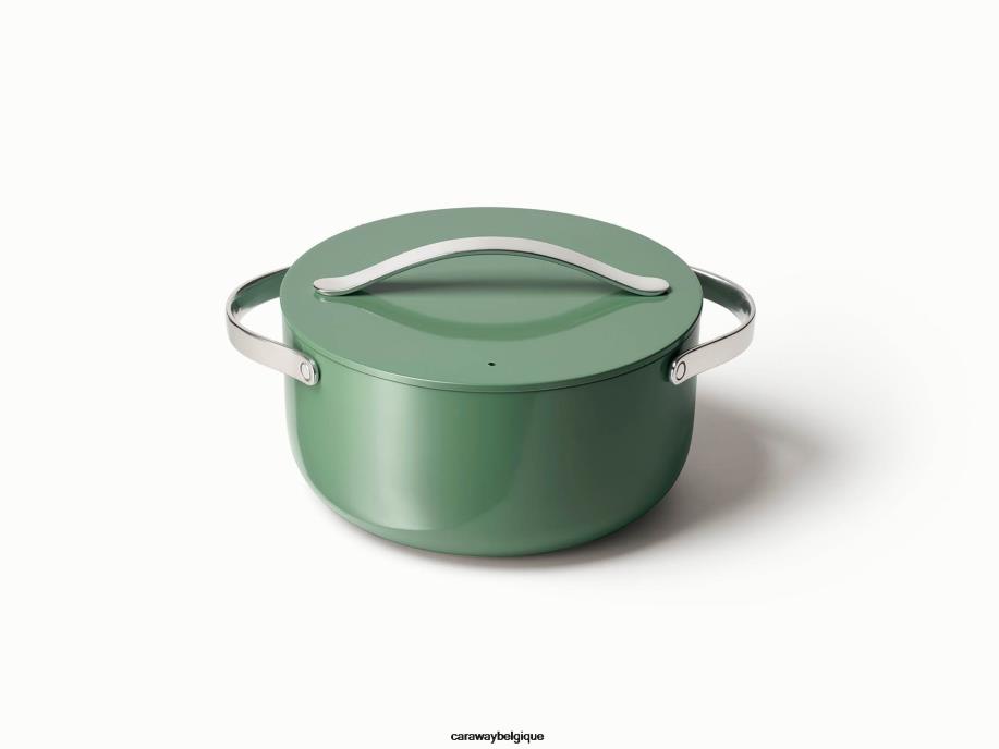 Caraway batterie de cuisine sage Four néerlandais T6TFV44