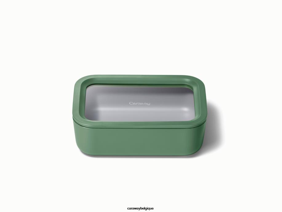 Caraway batterie de cuisine sage récipient de stockage de nourriture T6TFV218